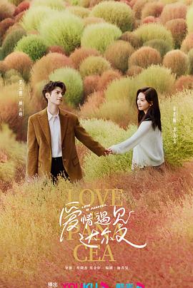 怎么样设置网站seo